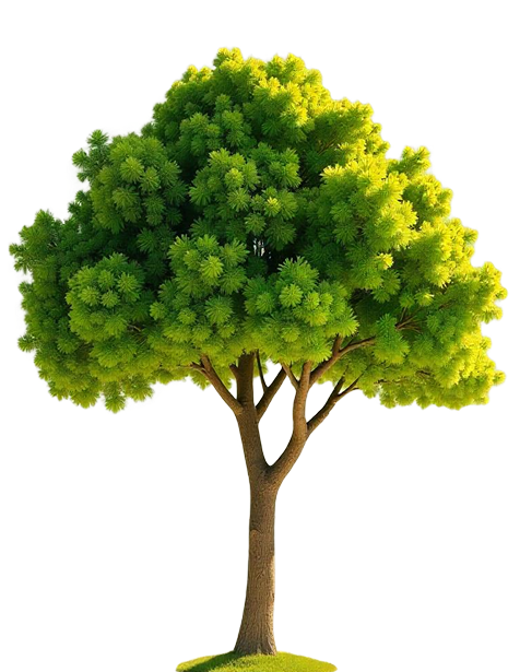 arbre